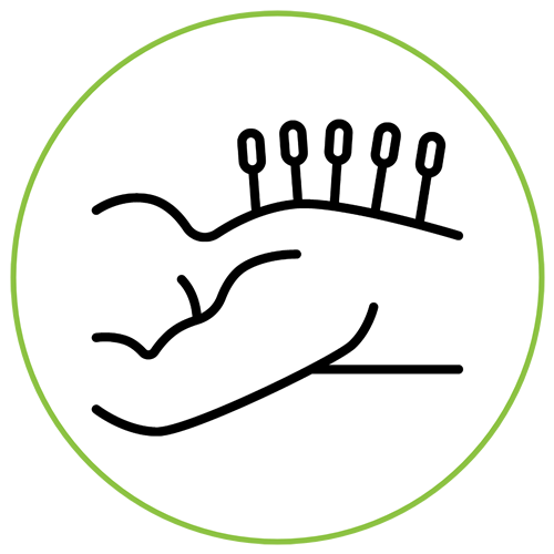 Acupuncture Chiropractic Indianapolis