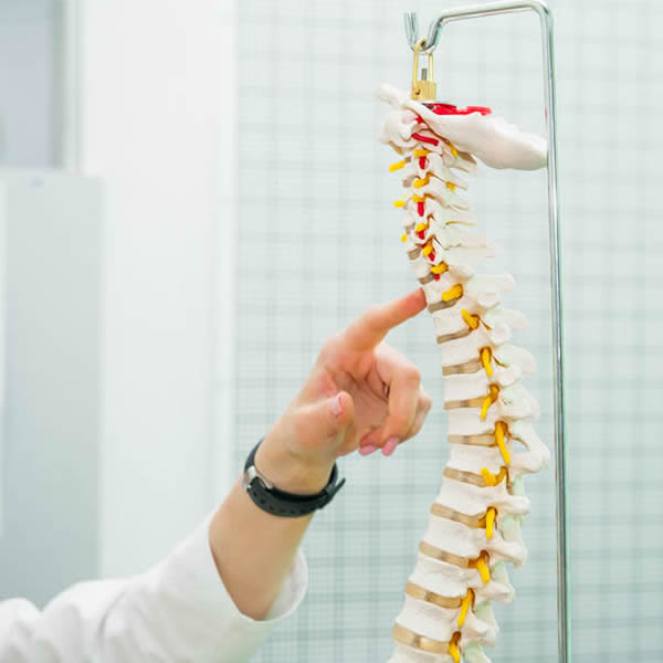 Chiropractic Care for Pregnancy Indianapolis